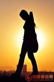 旅游資訊與咨詢 開啟完美旅程的關鍵